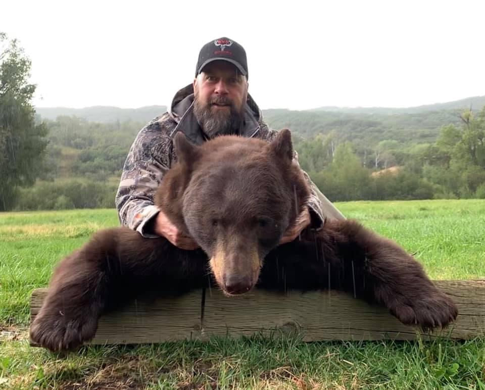 Bear Hunt